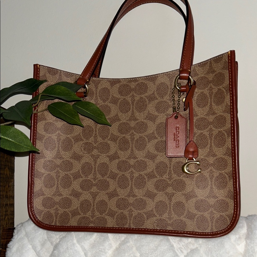 Coach Tan and Brown Signature Tote